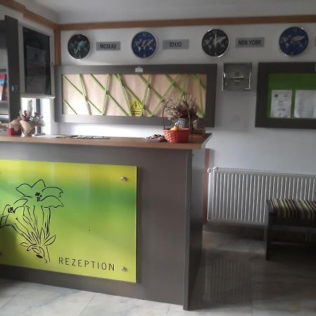 Nut House Retezat Hotel Nucsoara  Exterior foto